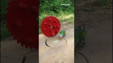Survival Skills: SMART idea and USEFUL with parrot trap #outdoors #parrottrap #parrot