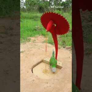 Survival Skills: SMART idea and USEFUL with PARROT trap #parrot #parrottrap #outdoors #ideas