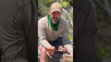 Minimalist kit will have you better prepared for💥sudden chaos