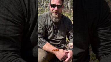 No-Fire Survival for Stealth: My Year-long Challenge