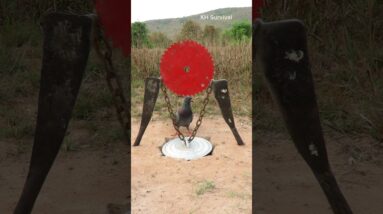 Survival Skills: Amazing bird trap #parrot #outdoors #parrottrap #birds #ideas