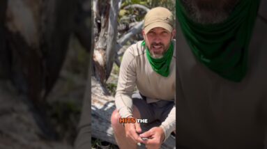 Underappreciated Survival Tool💵How Cash Saved My Freedom