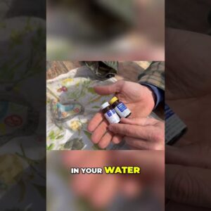 Using Water Purification Tablets: Essential Survival Gear