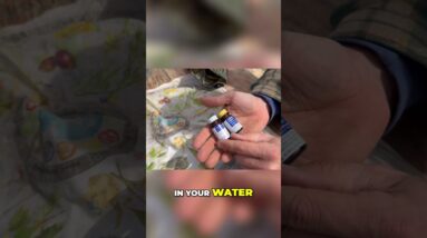 Using Water Purification Tablets: Essential Survival Gear