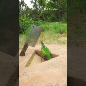 Survival Skills: SMART and USEFUL ideas #parrottrap #birds #outdoors #underground