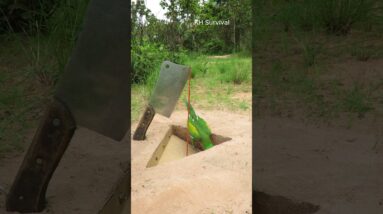 Survival Skills: SMART and USEFUL ideas #parrottrap #birds #outdoors #underground