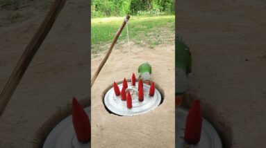 Survival Skills: SMART ideas and USEFUL with Easy Parrot Trap #parrot #parrottrap #bushcraft