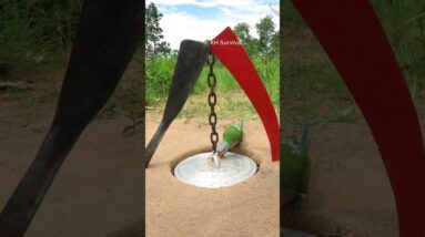 Survival Skills: SMART ideas and USEFUL with PARROT🦜 trap #parrot #outdoors #bushcraft