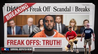 Freak Offs & Felonies: Unpacking the Diddy Scandal EP489