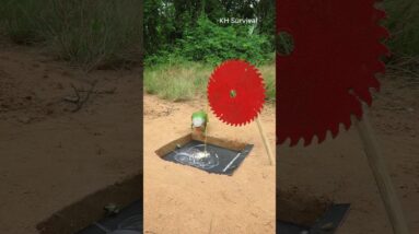 Survival Skills: Shows SURVIVAL skills with parrot trap #parrot #outdoors #birds #parrottrap