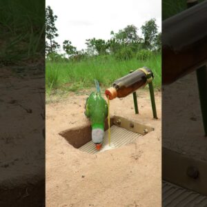Survival Skills: Underground parrot trap and USEFUL #parrottrap #birds #bushcraft