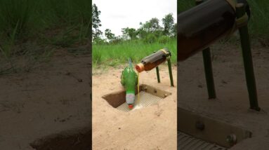 Survival Skills: Underground parrot trap and USEFUL #parrottrap #birds #bushcraft