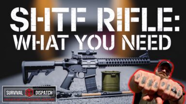 SHTF Rifle Setup: No BS Guide