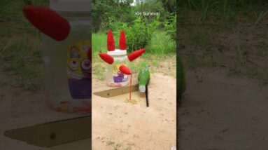 Survival Skills: EASY parrot trap #parrottrap #bushcraft #outdoors #birds