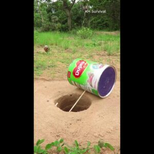 Survival Skills: SMART ideas and USEFUL with birds trap #shorts #outdoors