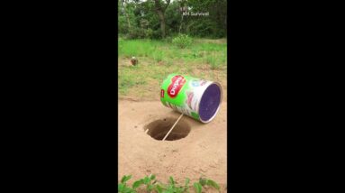 Survival Skills: SMART ideas and USEFUL with birds trap #shorts #outdoors