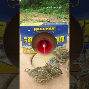 Survival Skills: Underground bird trap #shorts #birds