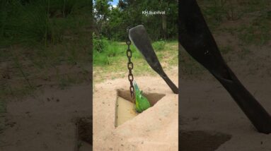 Survival Skills: Underground parrot 🐦 trap #parrottrap #birds