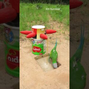 Underground parrot 🐦 trap #birds #parrottrap #outdoors #shorts