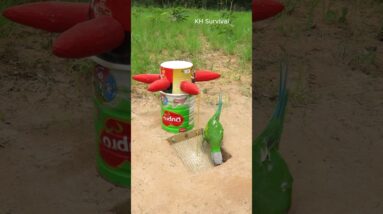 Underground parrot 🐦 trap #birds #parrottrap #outdoors #shorts