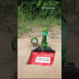Survival Skills: USEFUL tips with Underground parrot bird trap #birds #parrottrap