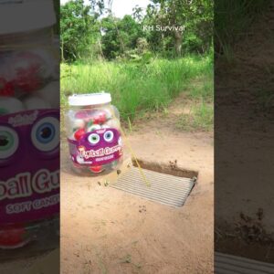 Survival Skills: SMART idea with Easy Underground parrot trap #shorts