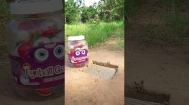 Survival Skills: SMART idea with Easy Underground parrot trap #shorts