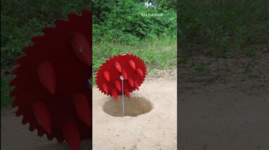 Survival Skills: Underground parrot trap #shorts #parrottrap