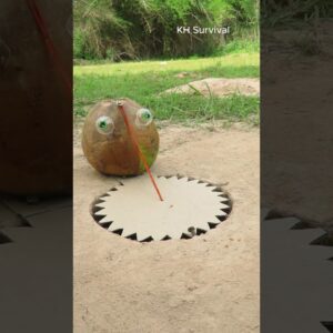 Survival Skills: Unique Underground parrot trap #birds #shorts