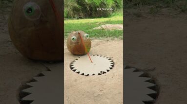 Survival Skills: Unique Underground parrot trap #birds #shorts