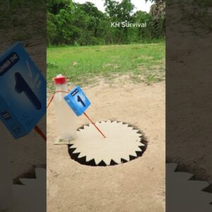 Survival Skills: Underground parrot trap and USEFUL tips #parrottrap #shorts