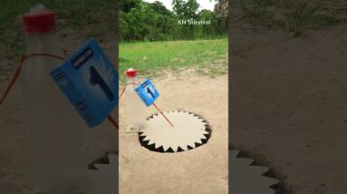 Survival Skills: Underground parrot trap and USEFUL tips #parrottrap #shorts