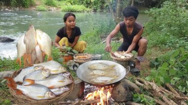 Life in the jungle, Catch fish in the river, Cooking fish with Chili sauce & eating delicious