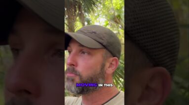 ☀️Simple Trick to Get Back, Not Lost