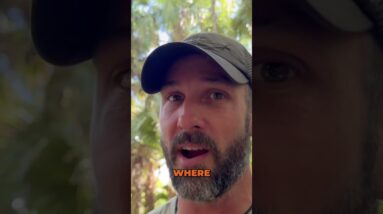 ❌The Best Way to Get Stuck in the Wilderness