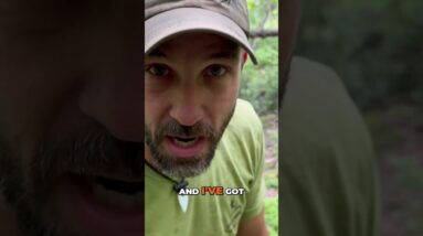 Hammock Camping Makes All the Difference in the Summer!