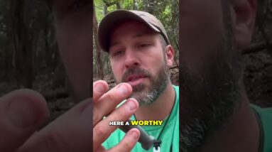 One Multipurpose Tool or Several Dedicated Ones? Camillus Swedge Review