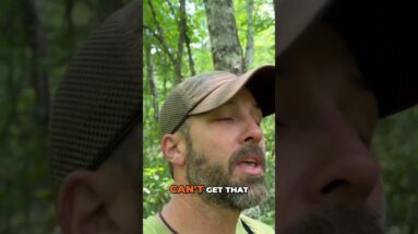 Stealth Camping, Good Location or Bad