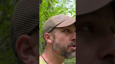 Stealth Camping Tips You Haven't Thought Of