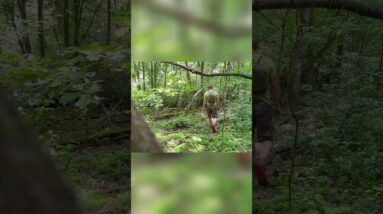 Stealth illusions to use when you can't do anything else