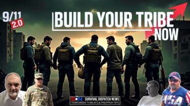 Post 9/11 2.0: Surviving in a New World EP568