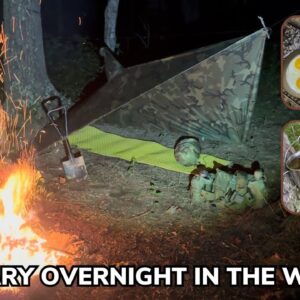 Solo Military Overnight in the Woods with Channel Updates
