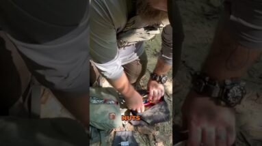 Water, Food, and Cooking: My Survival Kitchen