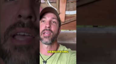 Capabilities and Uses of a Signal Mirror