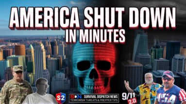 The Shocking Truth About Massive Cyberattacks EP587