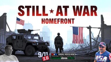 America's WAR on Terror vs. The REALITY of Endless Conflict EP601