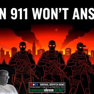 Arm Your Streets: Post-9/11 2.0 Militia Defense Tactics Unleashed EP613