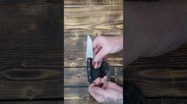 NedFoss PIONEER EDC Fixed Blade Knife with Sheath, 3.4" 14C28N Steel Hunting Knife with G10 Handle