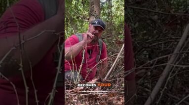 🥷SHTF Survival Will Prioritize Security Above All Else