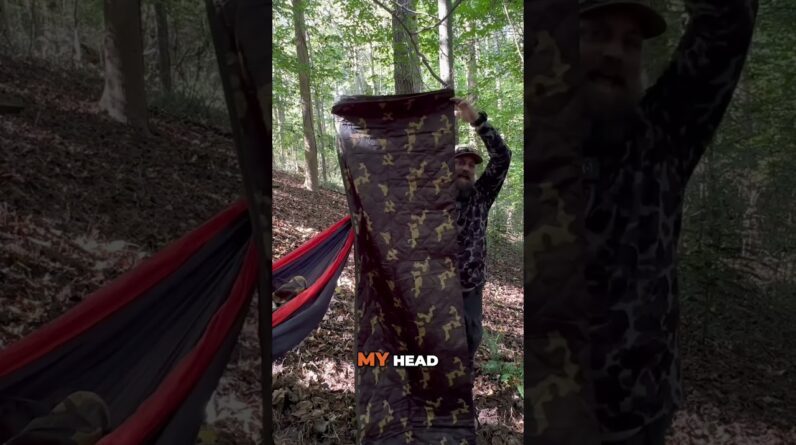 Favorite Features of My Bubbie